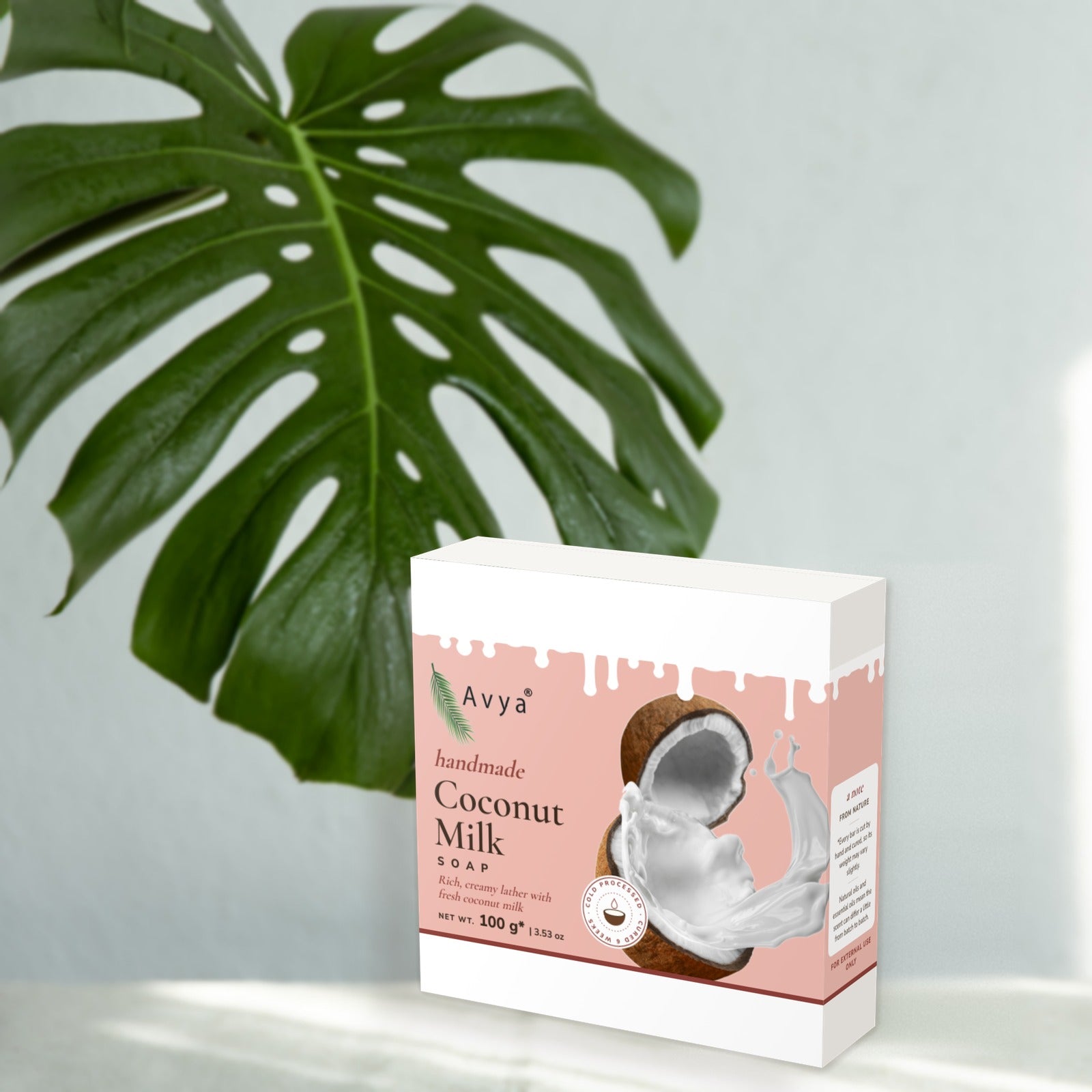 Avya Coconut Milk Soap with a monstera leaf in natural sunlight